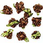 Small fabric flowers, Satin, brown, 2.2cm x 2.8cm (approximate), 10 pieces