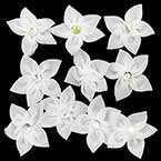 Petites fleurs en tissu, Organza, blanc, 4,5cm (approximatif), 10 morceaux