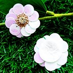 Fleur de paillettes, blanc, 1 Fleur de paillettes, 3cm