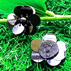 Sequin flower, black, 1 Sequin flower, 2.7cm