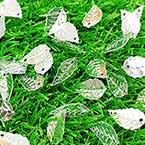 Sequins, white, 9mm x 16mm, 85 pieces, 3g, Leaf shape, Sequins are shiny