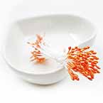 Flower stamen, orange, 80 pieces (approximate)