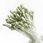 Matt cereal Stamens, Light green, Matt (not shiny), 450 pieces (approximate)