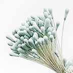 Matt cereal Stamens, Light blue, Matt (not shiny), 400 pieces (approximate)