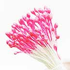 Flower stamen, pink, 80 pieces (approximate)