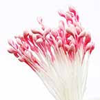 Small flowers stamens, pink, 80 pieces (approximate), 5.5cm