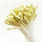 Matt bulb Stamens, Light Yellow, Matt (not shiny), 200 pieces (approximate)