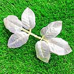 Rose leaf, Artificial fibers, Silver colour, 17cm  x  10.5cm, 5 pieces