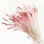 Small flowers stamens, pink, 110 pieces (approximate), 6cm