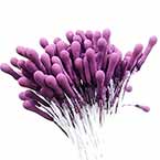 Matt bulb Stamens, Dark purple, Matt (not shiny), 120 pieces (approximate)