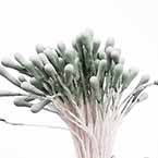 Matt bulb Stamens, Turquoise colour, Matt (not shiny), 120 pieces (approximate)