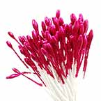 Small flowers stamens, Dark red, 110 pieces (approximate), 6cm