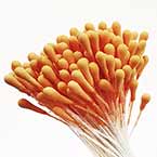 Matt bulb Stamens, orange, Matt (not shiny), 200 pieces (approximate)