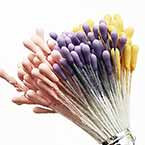 Matt bulb Stamens, white, pink, Matt (not shiny), 280 pieces (approximate)