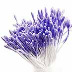 Small flowers stamens, Light purple, 420 pieces (approximate), 6cm