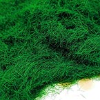 Artificial Fluffy Moss, Dark green, 10g