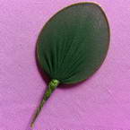 Nylon leaves for nylon flowers, wires and Nylon, green, 7cm x 4cm, 10 pieces