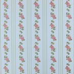 Album paper