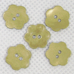 Shell button, Green-Yellow, 1.5cm x 1.5cm, 5 buttons