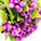 Étamines fleurs petit bouquet - Grain de Verre